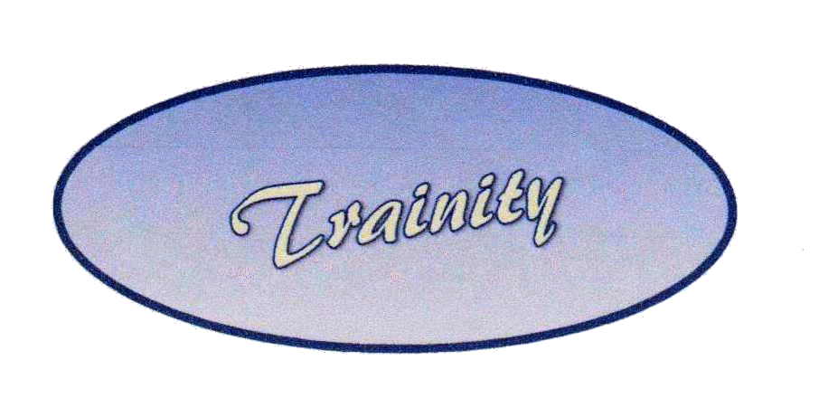 Logo trainity